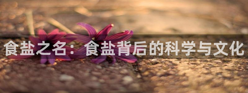 威九国际官网登录入口