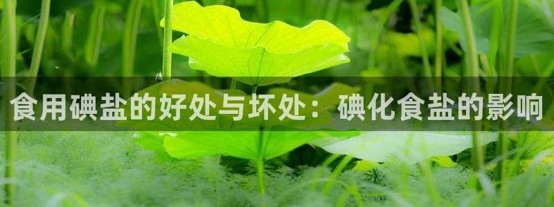 威九国际网站登录