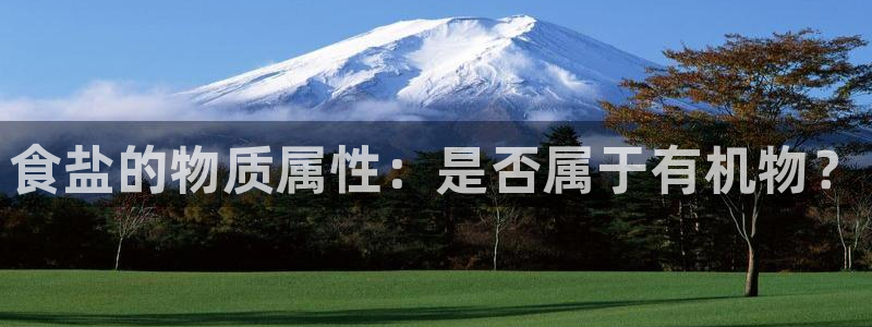 威九国际官网登录入口网站