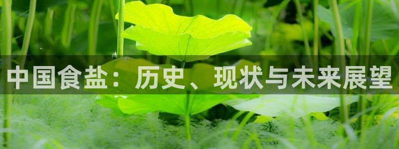 威九国际78mb42斗罗大陆