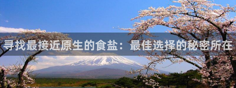 威九国际的女主