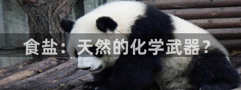 威九国际app下载