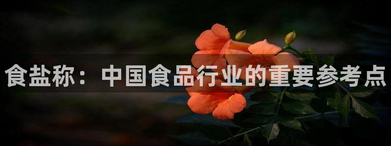 威九国际可以提现吗