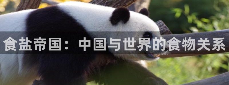 威九国际app大全下载安装