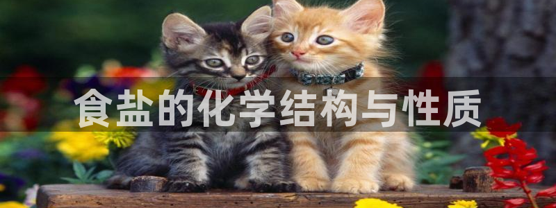 78mapp威九国际官网