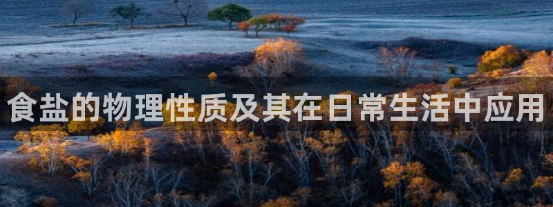 威九国际网站入口地址在哪里