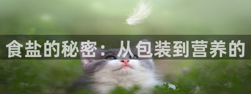 威九国际78mob游戏说明