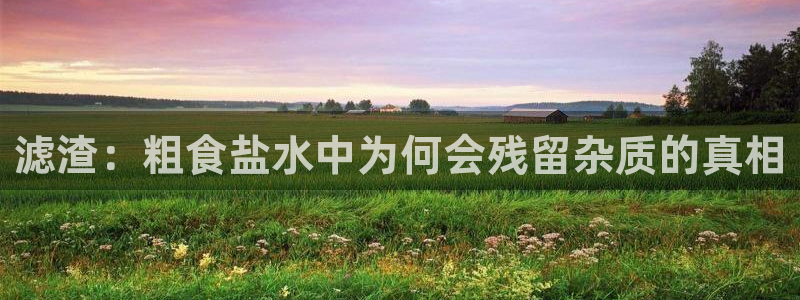 威九国际APP入口