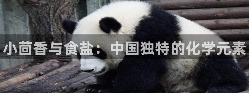 威九国际集团66m一6在线