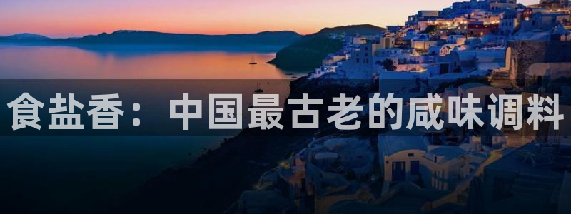 威九国际官方入口