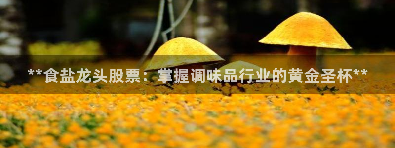 威九国际app无法登陆怎么回事