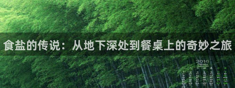 威九国际免费版