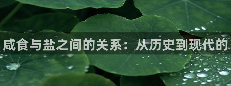 威九国际78mapp官网版下载