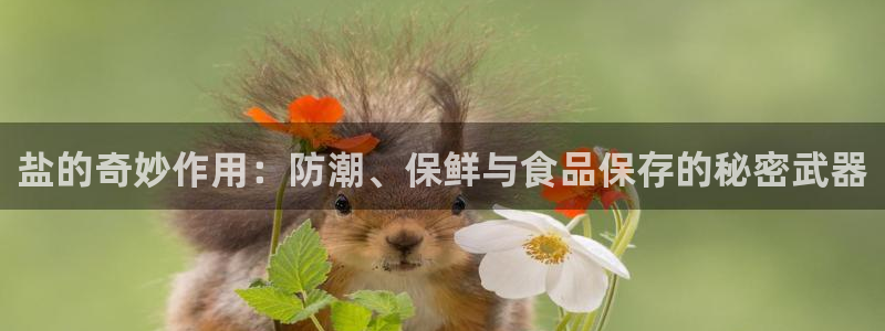 威九国际官网版下载