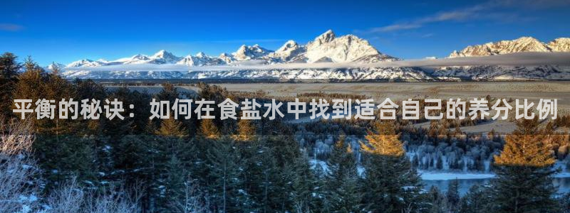 威九国际精彩推荐怎么样：平衡的秘诀：如何在食盐水中找到适合自