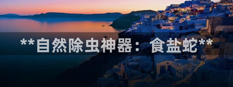 威九国际演员表