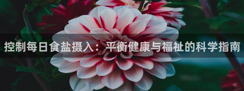 威九国际的网站入口在哪里