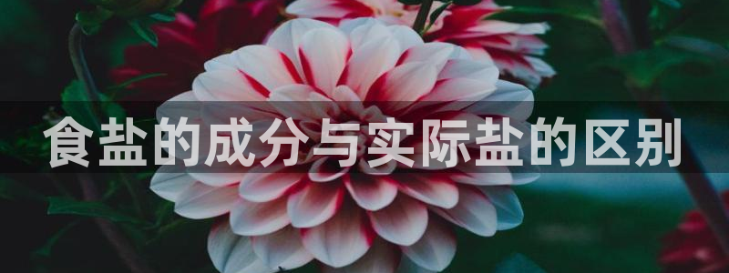 威九国际官网在线进入网站查询