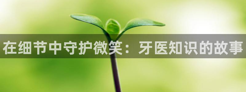 辣文小说在线观看