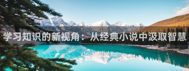 辣文小说古代言情：学习知识的新视角：从经典小说中汲取智慧