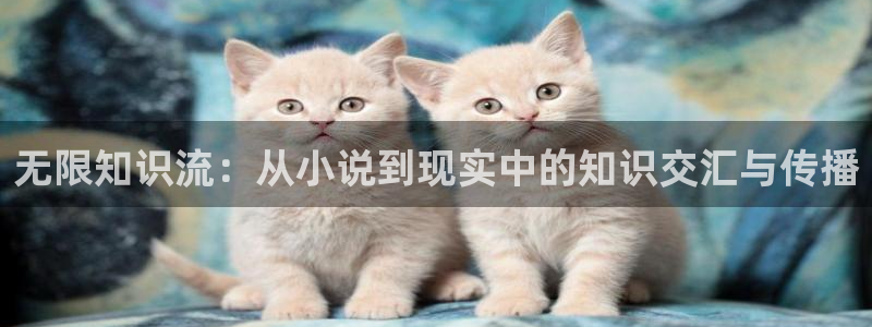辣文小说阿宾：无限知识流：从小说到现实中的知识交汇与传播
