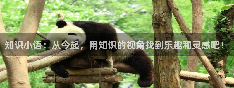 辣文小说全文txt下载