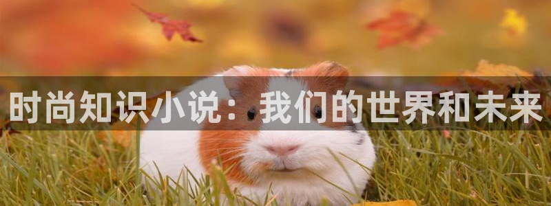 辣文小说推荐：时尚知识小说：我们的世界和未来