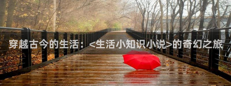 辣文小说网h文：穿越古今的生活：<生活小知识小说>的奇幻之旅