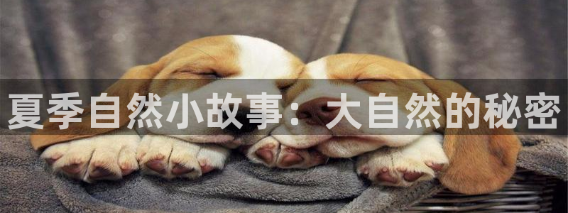 教授辣文小说：夏季自然小故事：大自然的秘密